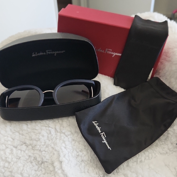 Salvatore Ferragamo Sunglasses Full Inclusion - Picture 1 of 11